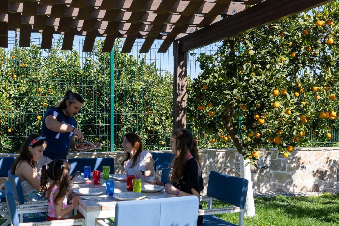 Desa Green Homes Epidaurus المظهر الخارجي الصورة