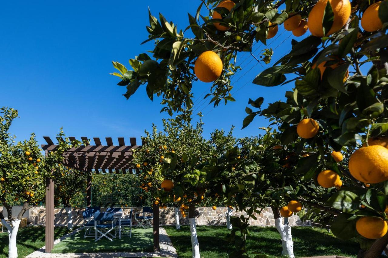 Desa Green Homes Epidaurus المظهر الخارجي الصورة