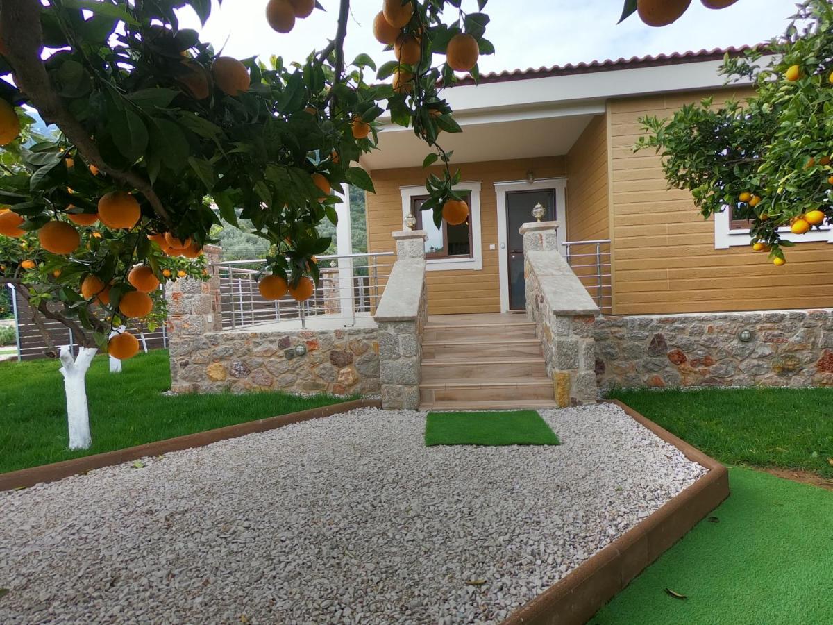 Desa Green Homes Epidaurus المظهر الخارجي الصورة
