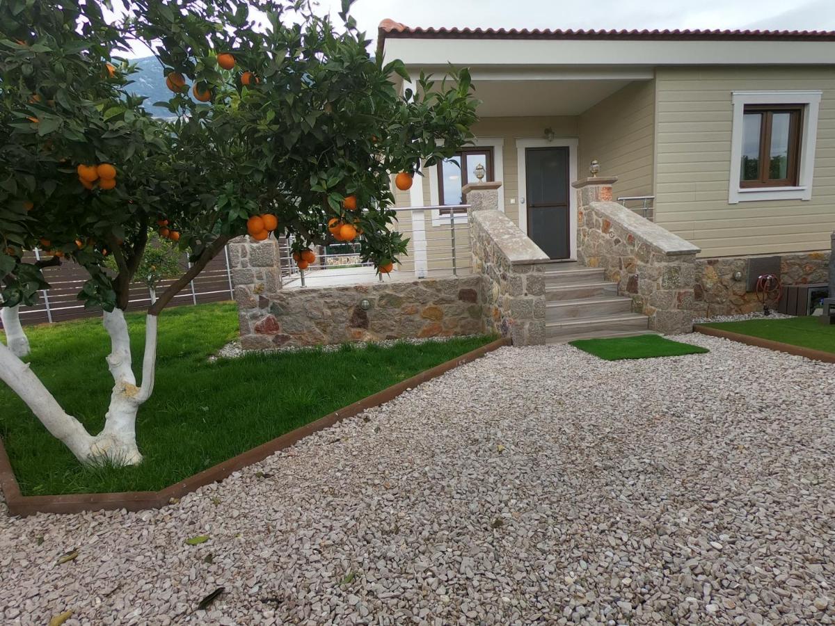 Desa Green Homes Epidaurus المظهر الخارجي الصورة