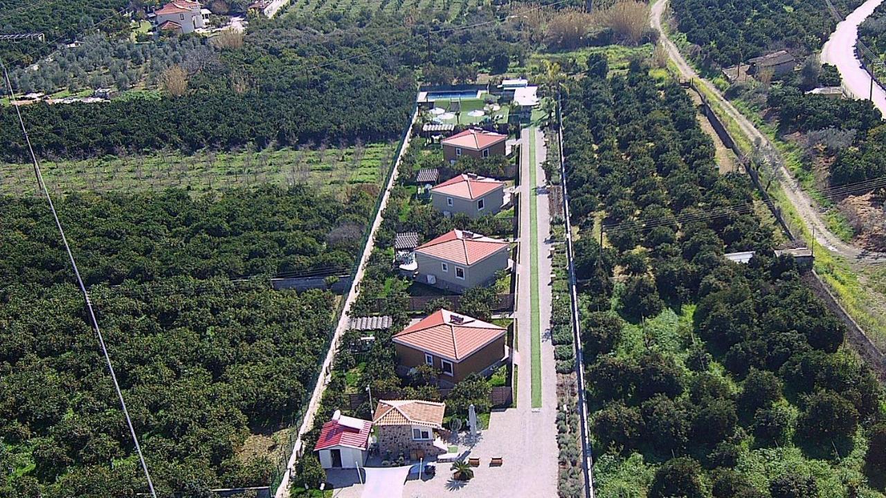 Desa Green Homes Epidaurus المظهر الخارجي الصورة