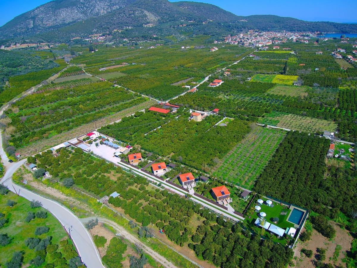 Desa Green Homes Epidaurus المظهر الخارجي الصورة